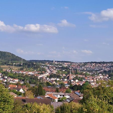 Ferienwohnung Schleiten Püttlingen المظهر الخارجي الصورة